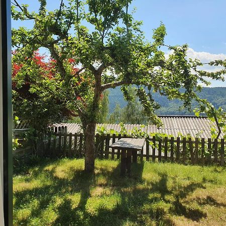 Apartment Haus Starfach Döbriach Екстериор снимка