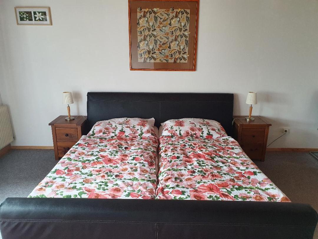 Apartment Haus Starfach Döbriach Екстериор снимка